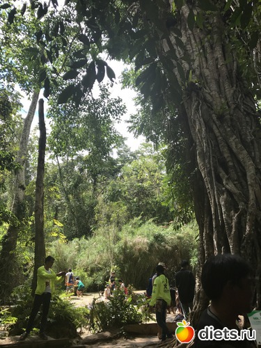 115 ����: ������ 2017. ����