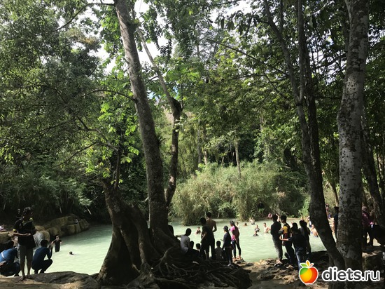 117 ����: ������ 2017. ����