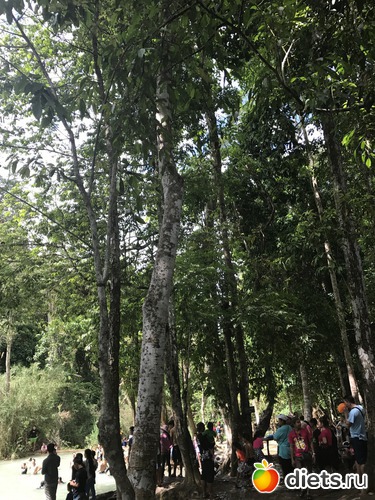 118 ����: ������ 2017. ����