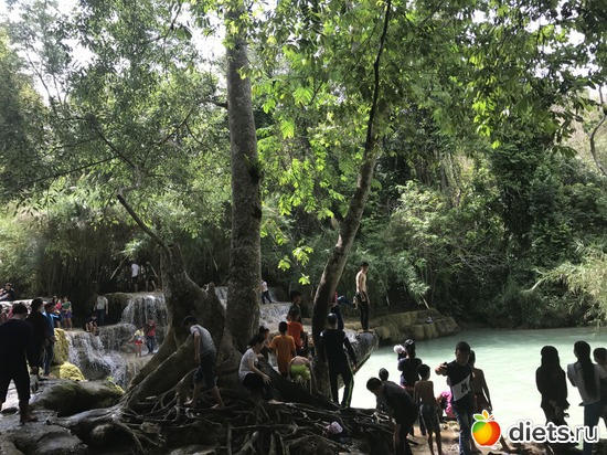 119 ����: ������ 2017. ����