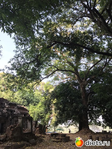 342 ����: ������ 2017. ����