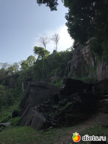 344 ����: ������ 2017. ����