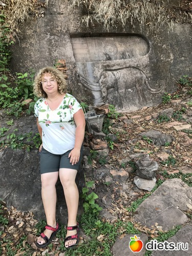 345 ����: ������ 2017. ����