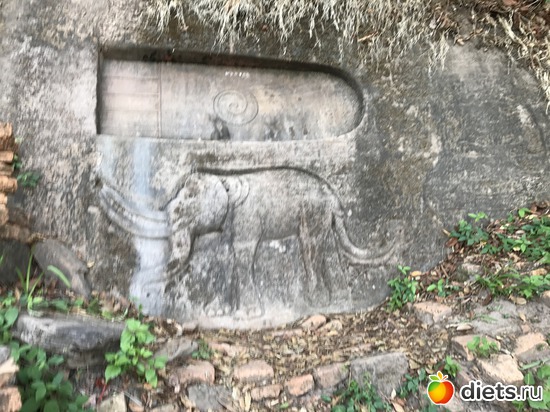 346 ����: ������ 2017. ����