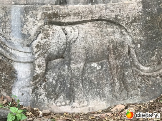 347 ����: ������ 2017. ����