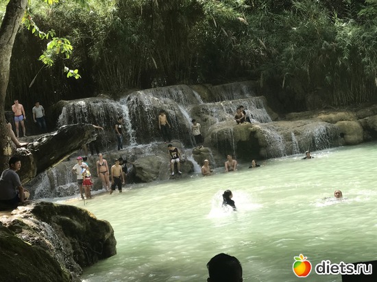 121 ����: ������ 2017. ����