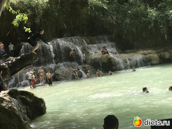 122 ����: ������ 2017. ����