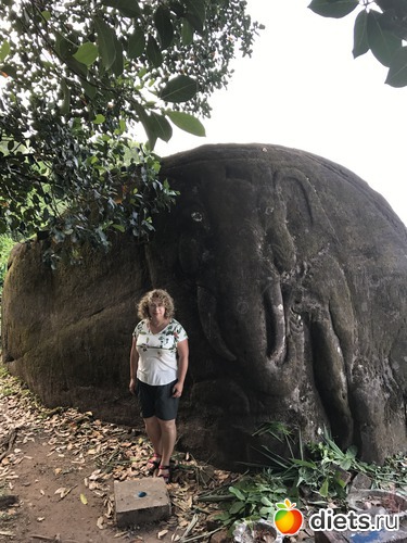 352 ����: ������ 2017. ����