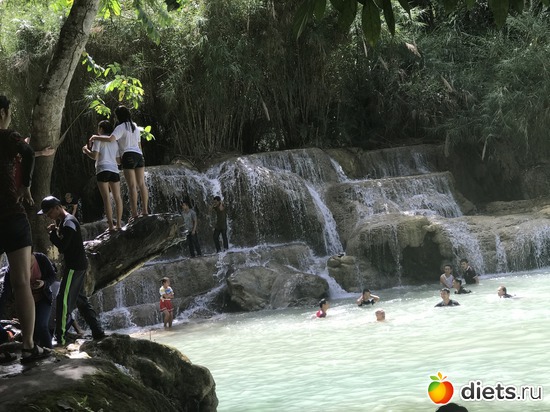 126 ����: ������ 2017. ����