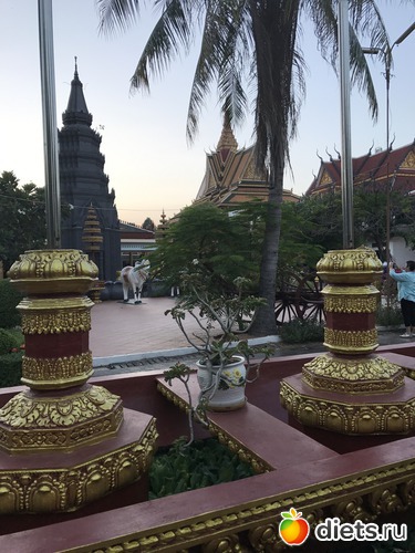 17 ����: ������ 2017. ��������