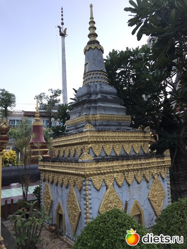 19 ����: ������ 2017. ��������