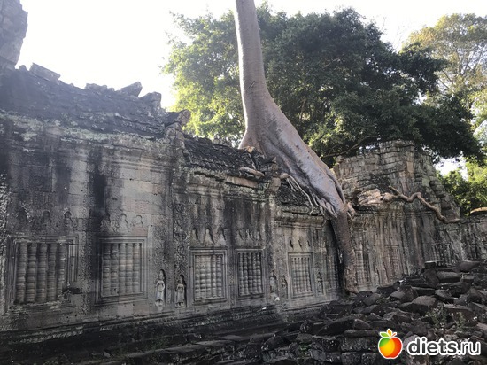 183 ����: ������ 2017. ��������