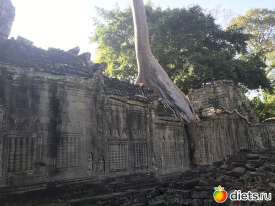 184 ����: ������ 2017. ��������