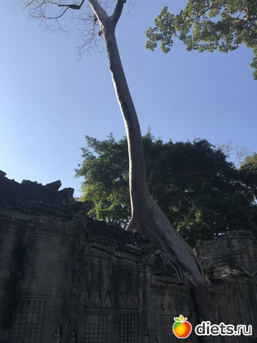 185 ����: ������ 2017. ��������