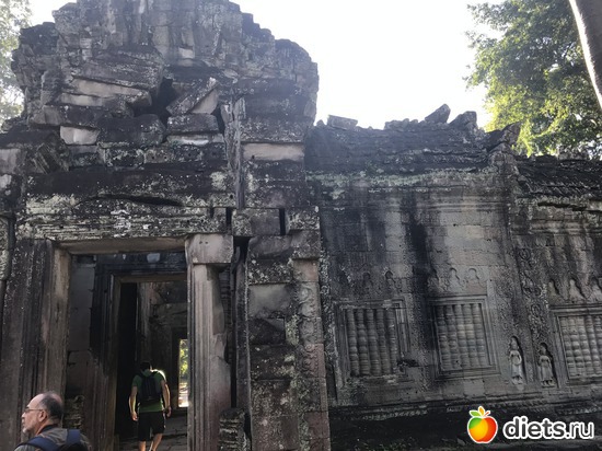 186 ����: ������ 2017. ��������