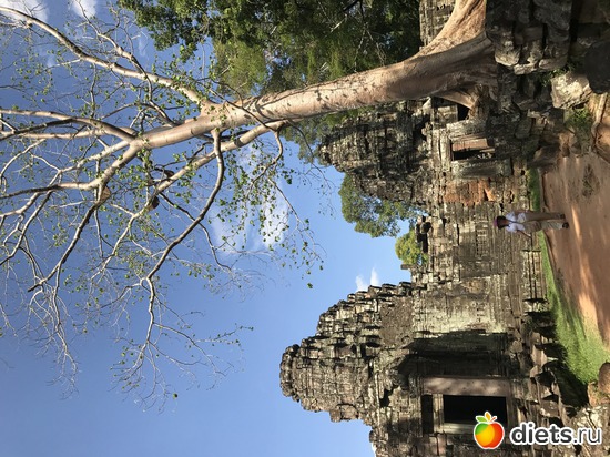 341 ����: ������ 2017. ��������