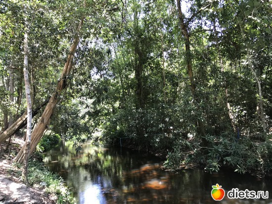 583 ����: ������ 2017. ��������