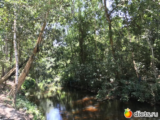 584 ����: ������ 2017. ��������