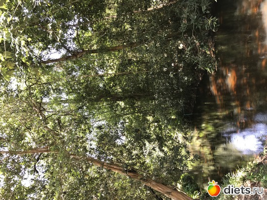 585 ����: ������ 2017. ��������