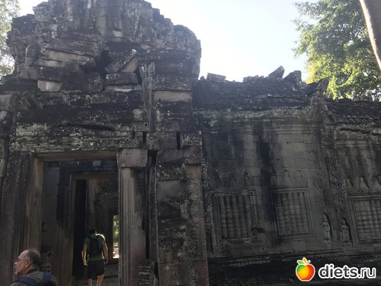 187 ����: ������ 2017. ��������