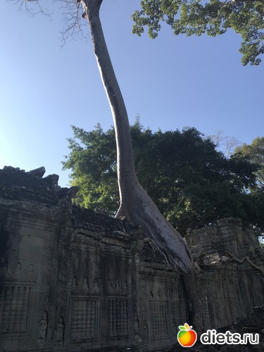 188 ����: ������ 2017. ��������