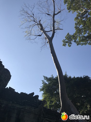 189 ����: ������ 2017. ��������