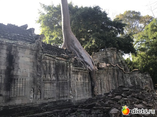 190 ����: ������ 2017. ��������