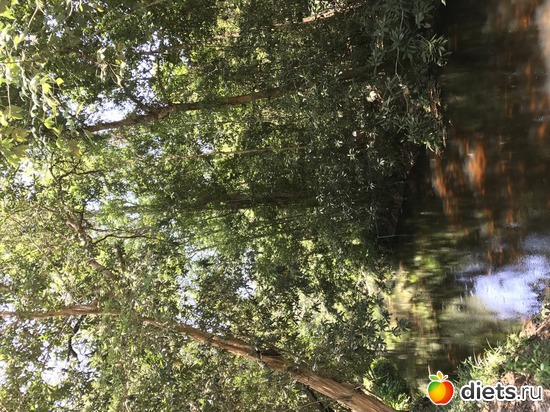 586 ����: ������ 2017. ��������