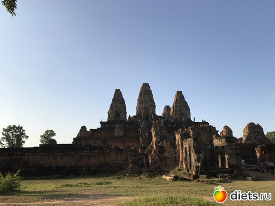 675 ����: ������ 2017. ��������