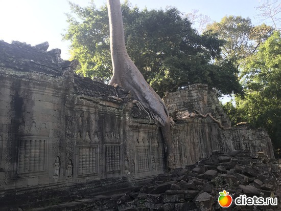 191 ����: ������ 2017. ��������