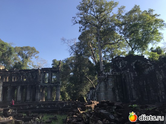 192 ����: ������ 2017. ��������