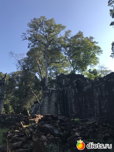 193 ����: ������ 2017. ��������