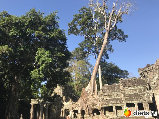 194 ����: ������ 2017. ��������