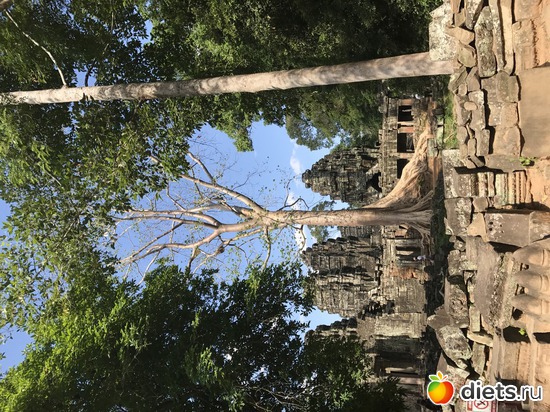 349 ����: ������ 2017. ��������