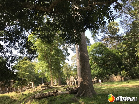 350 ����: ������ 2017. ��������