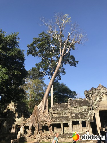 195 ����: ������ 2017. ��������