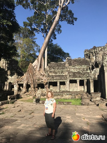 196 ����: ������ 2017. ��������