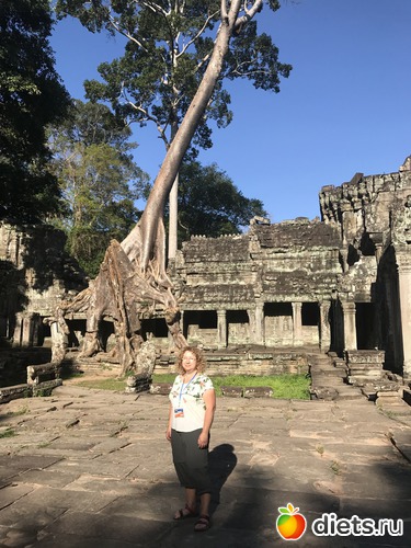 197 ����: ������ 2017. ��������