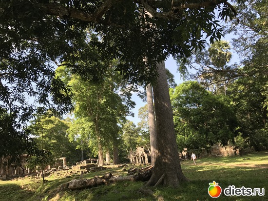 351 ����: ������ 2017. ��������