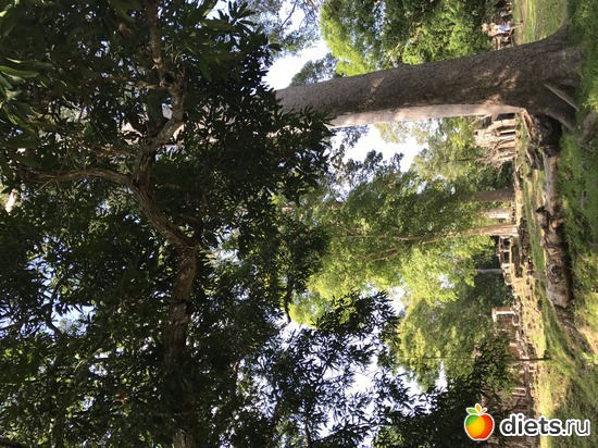 352 ����: ������ 2017. ��������