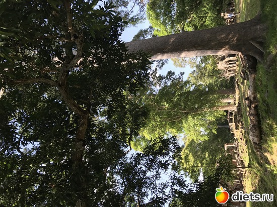 353 ����: ������ 2017. ��������