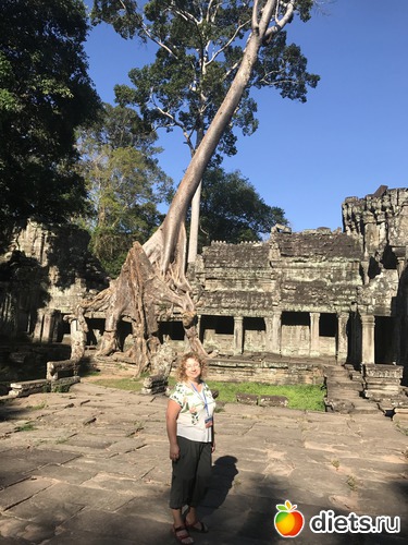 198 ����: ������ 2017. ��������