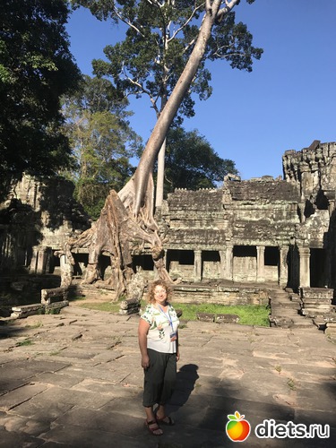 199 ����: ������ 2017. ��������