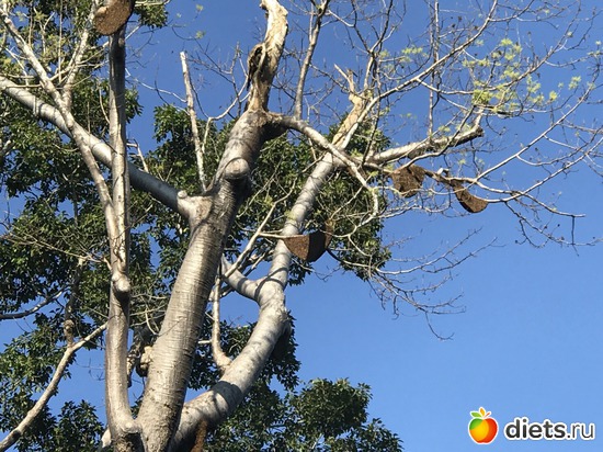 200 ����: ������ 2017. ��������