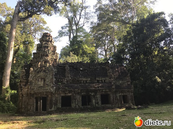 201 ����: ������ 2017. ��������