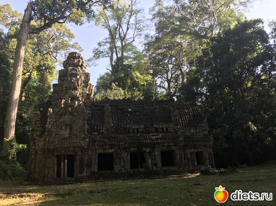 202 ����: ������ 2017. ��������