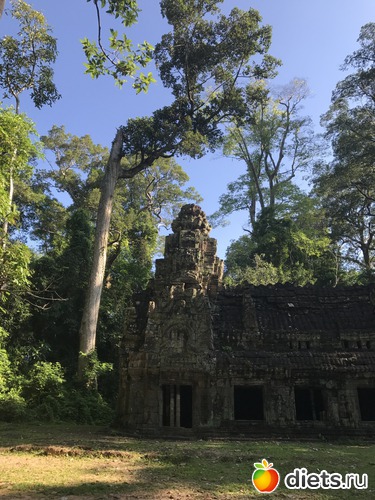 203 ����: ������ 2017. ��������