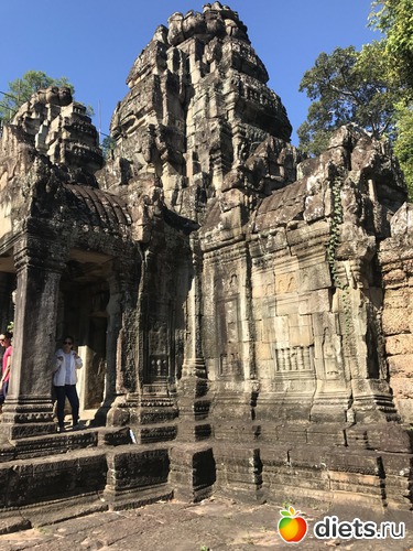 205 ����: ������ 2017. ��������