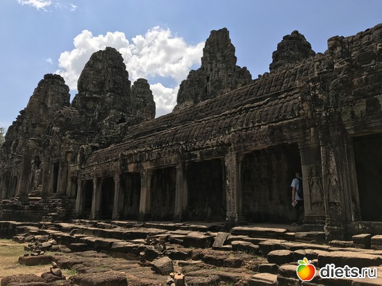 503 ����: ������ 2017. ��������