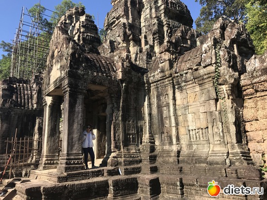 206 ����: ������ 2017. ��������